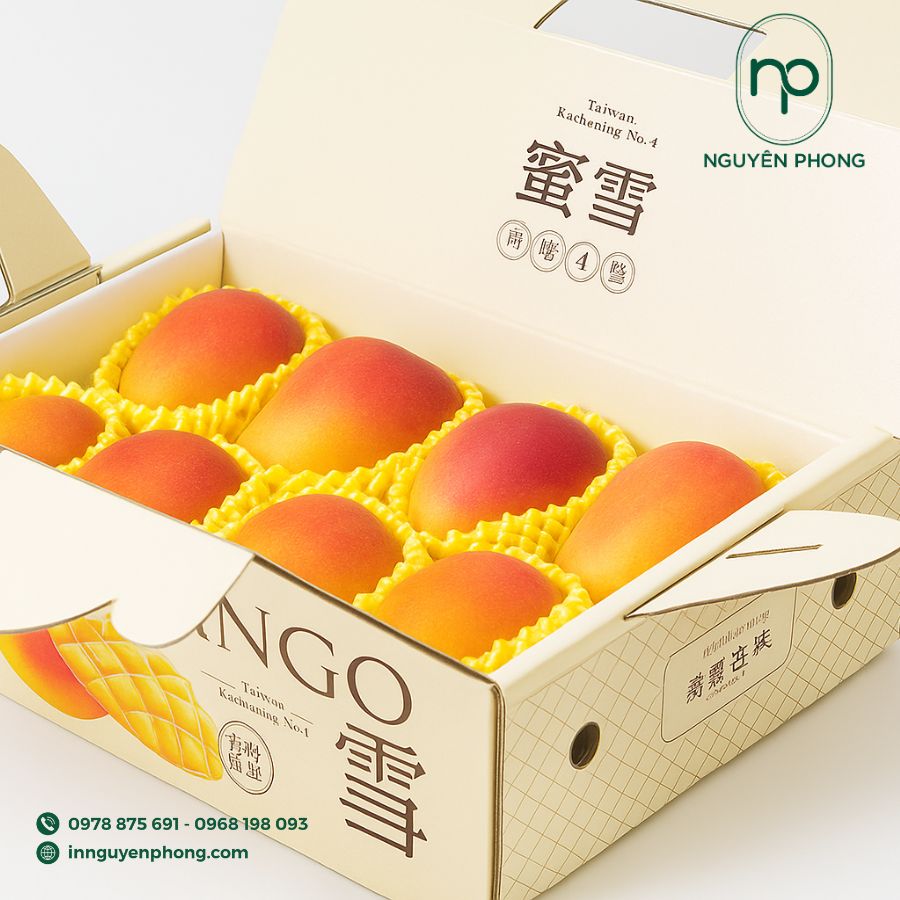 in-hop-carton dung-xoai-gia-re-tai=ha-noi